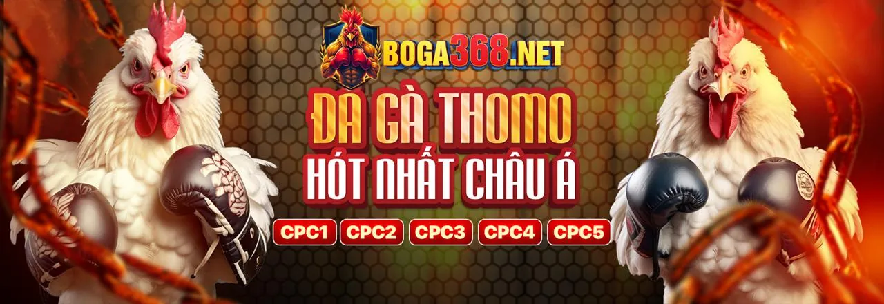 Sân vận động bóng đá sôi động với quả bóng và cầu thủ