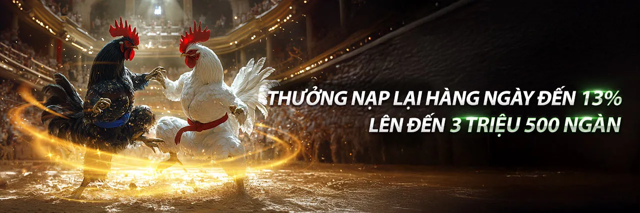 Đá gà trực tuyến kịch tính trên nền tảng ee888 app